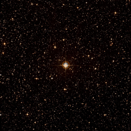 Image of HIP-34142