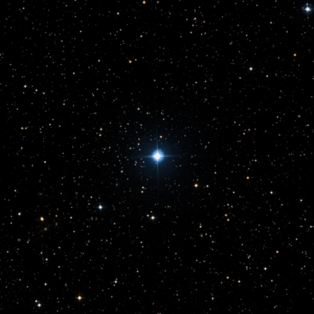 Image of HD-42127