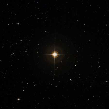 Image of HIP-3137