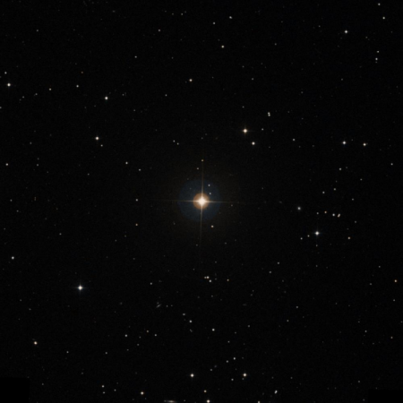 Image of HIP-50635