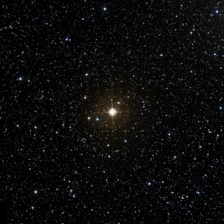 Image of W-Cyg