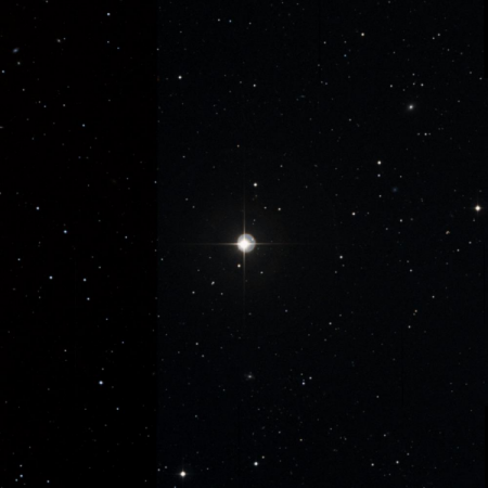 Image of 37-Vir