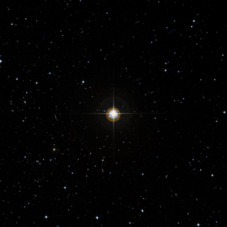Image of 46-Vir