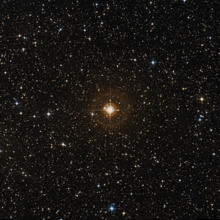 Image of HIP-35626