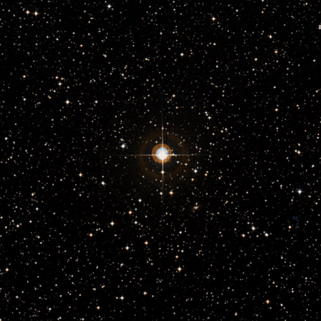 Image of HIP-40693