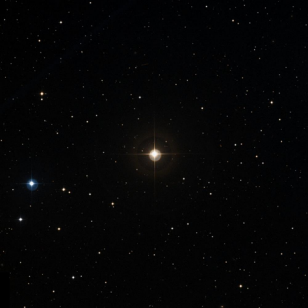 Image of TYC-1254-867-1
