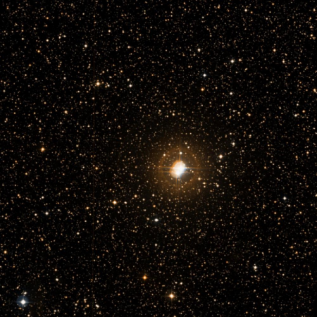 Image of 61-Cyg