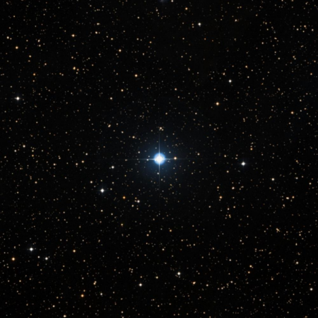 Image of V376-Per