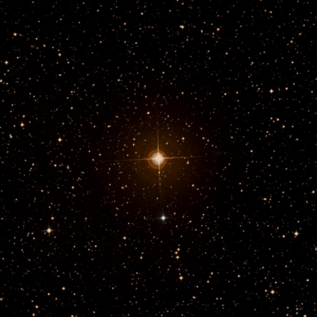 Image of HIP-36496