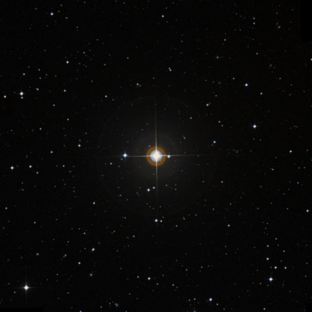 Image of HIP-6631