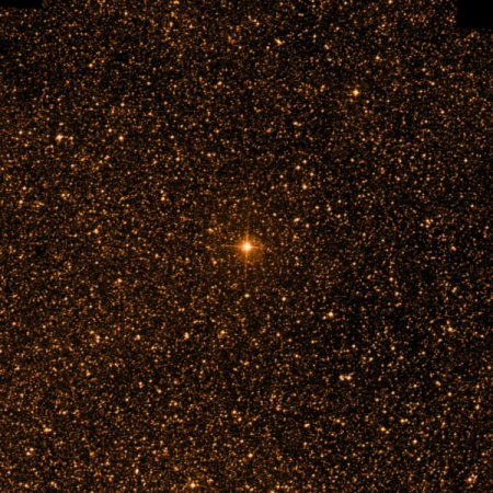 Image of 39-Nor