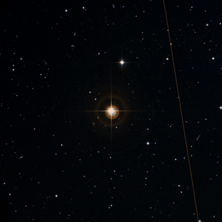 Image of 33-Cet