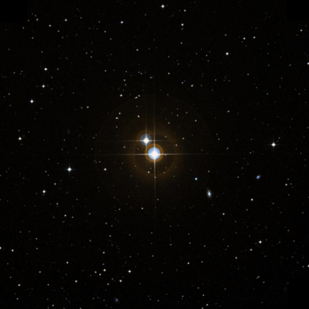 Image of HIP-111600
