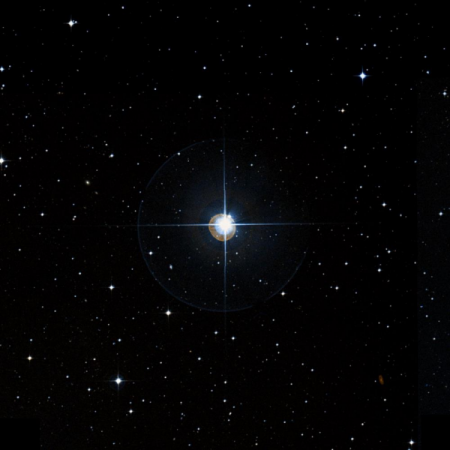Image of &gamma;-Sex