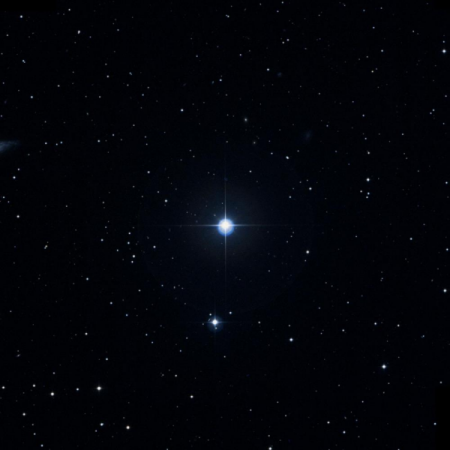 Image of 1-Ari