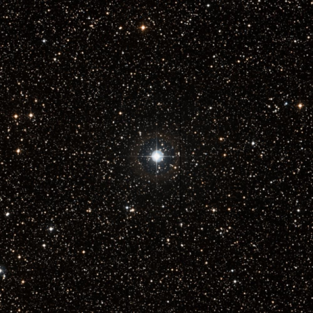 Image of TYC-439-1445-2