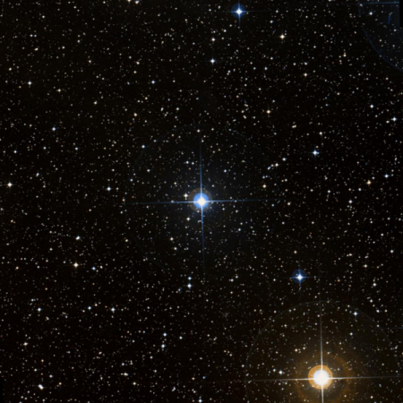 Image of QS-Pup