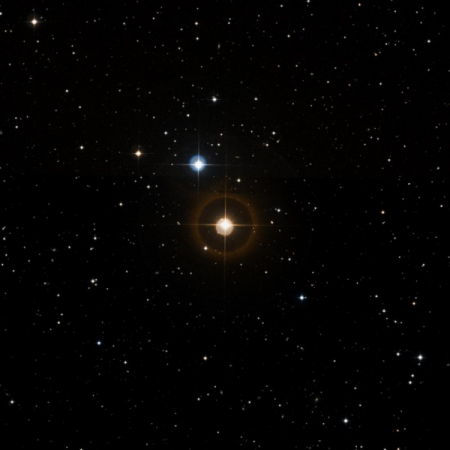 Image of HIP-1657