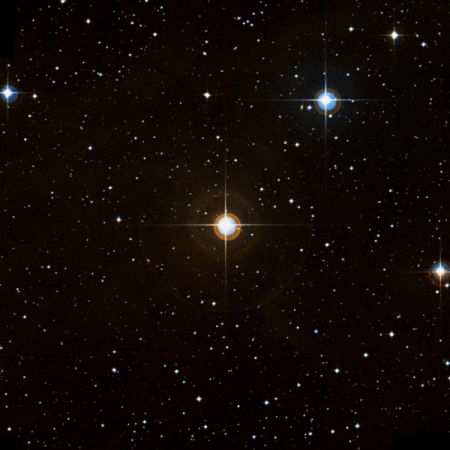 Image of HIP-25708