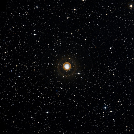 Image of HIP-40990