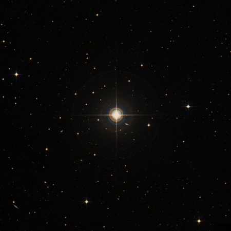 Image of 84-Cet