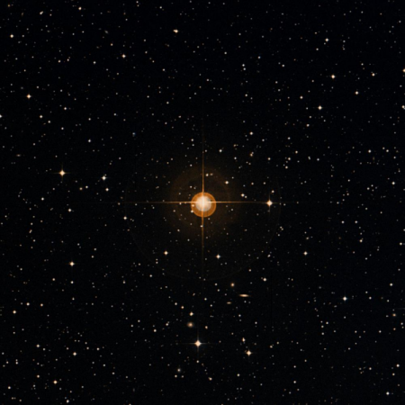 Image of HIP-41299