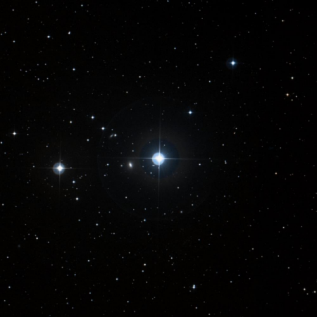 Image of TYC-1761-2538-1