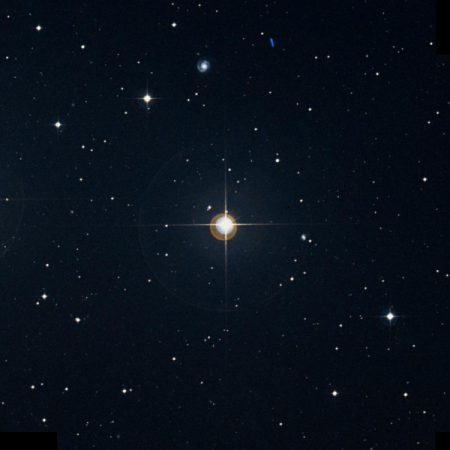 Image of 77-Cet