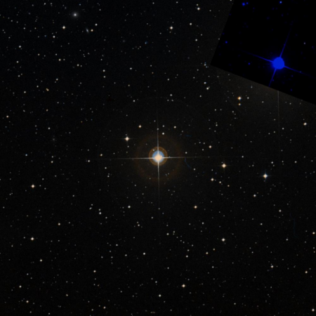 Image of &gamma;²-Oct