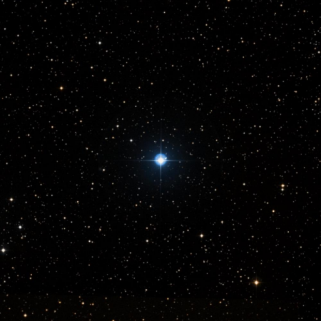 Image of 36-Aur