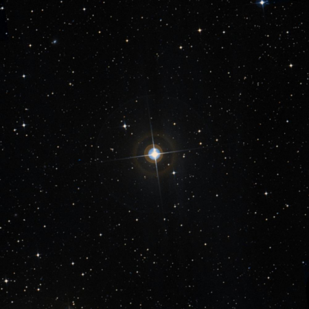 Image of HIP-101427