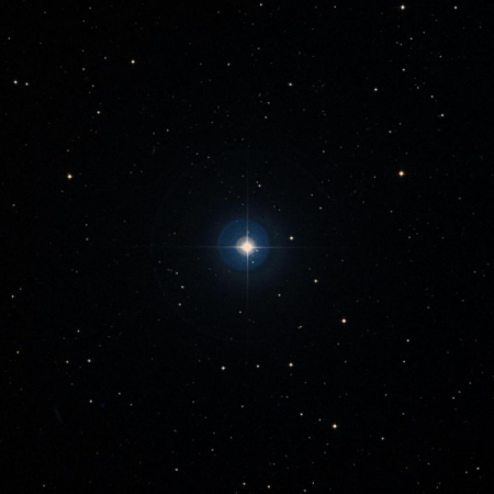 Image of TX-Leo