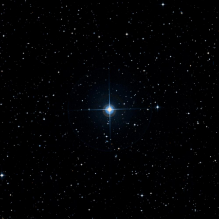 Image of G-Pup