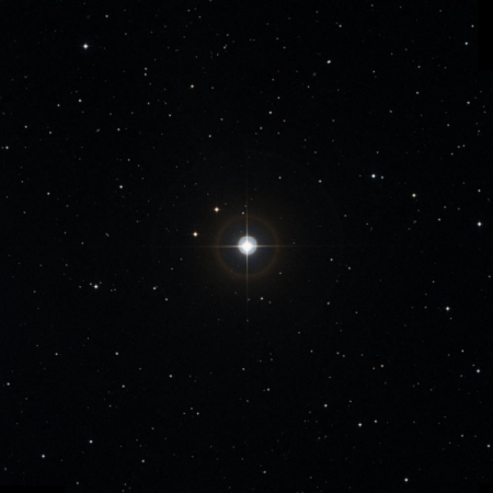 Image of RR-Ari