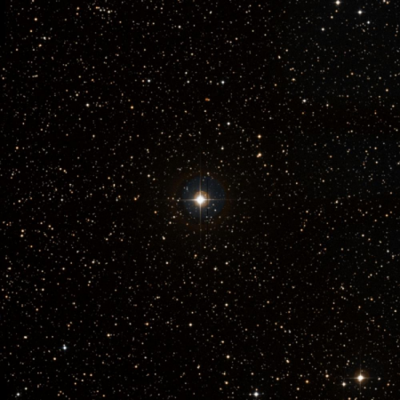 Image of 35-Gem