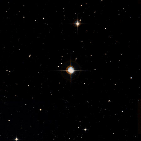 Image of 66-Cet