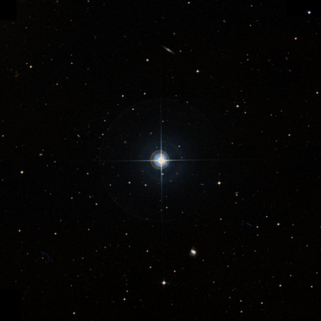 Image of 49-Cet