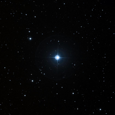 Image of 40-Boo
