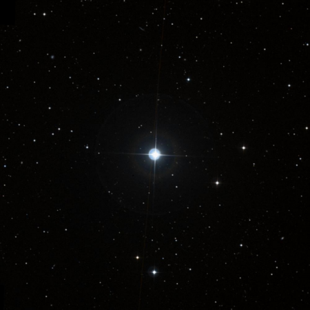 Image of 39-