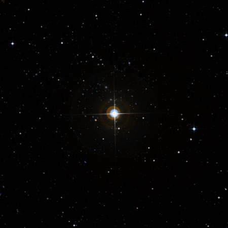 Image of HIP-1288