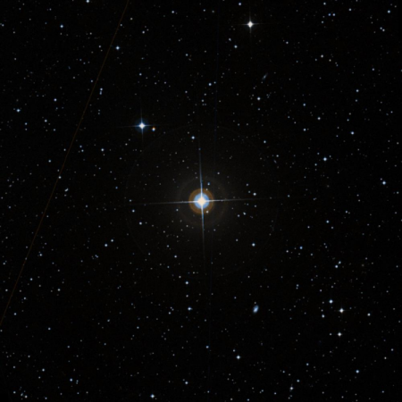 Image of &delta;-Men