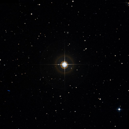 Image of 81-Cet