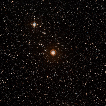 Image of HIP-50609
