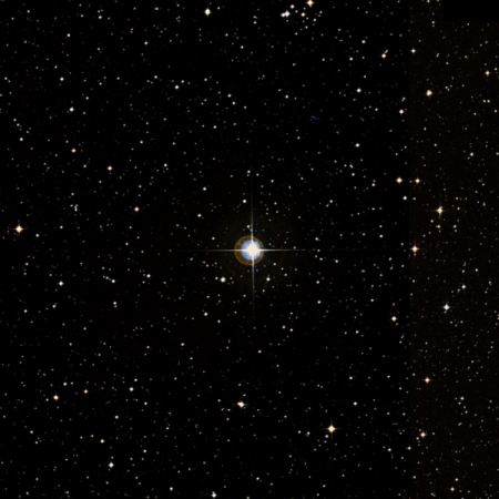 Image of HIP-101345