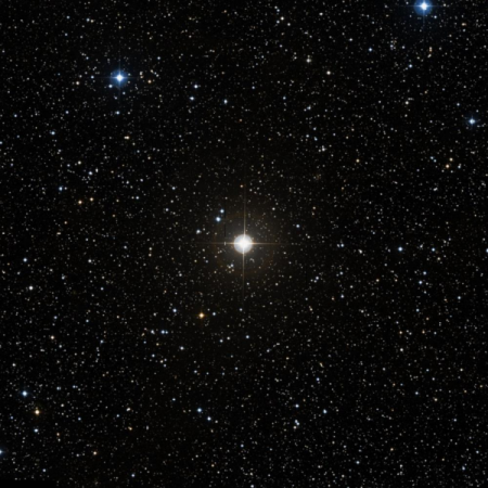 Image of HIP-101899