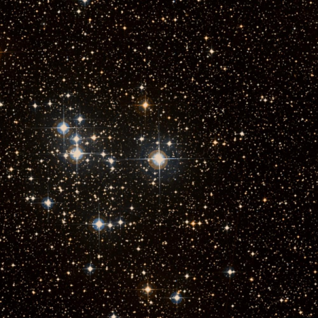 Image of HIP-36981