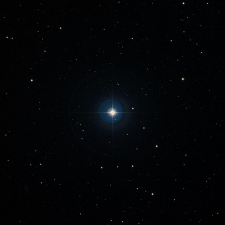 Image of TX-Leo