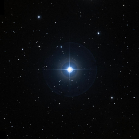 Image of TYC-1230-1424-2