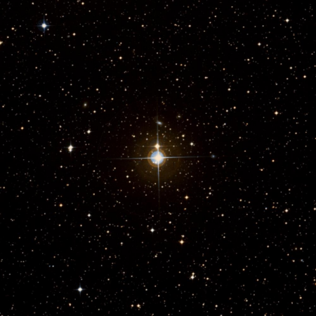 Image of y-Cen