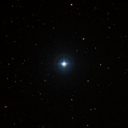 Image of 40-LMi